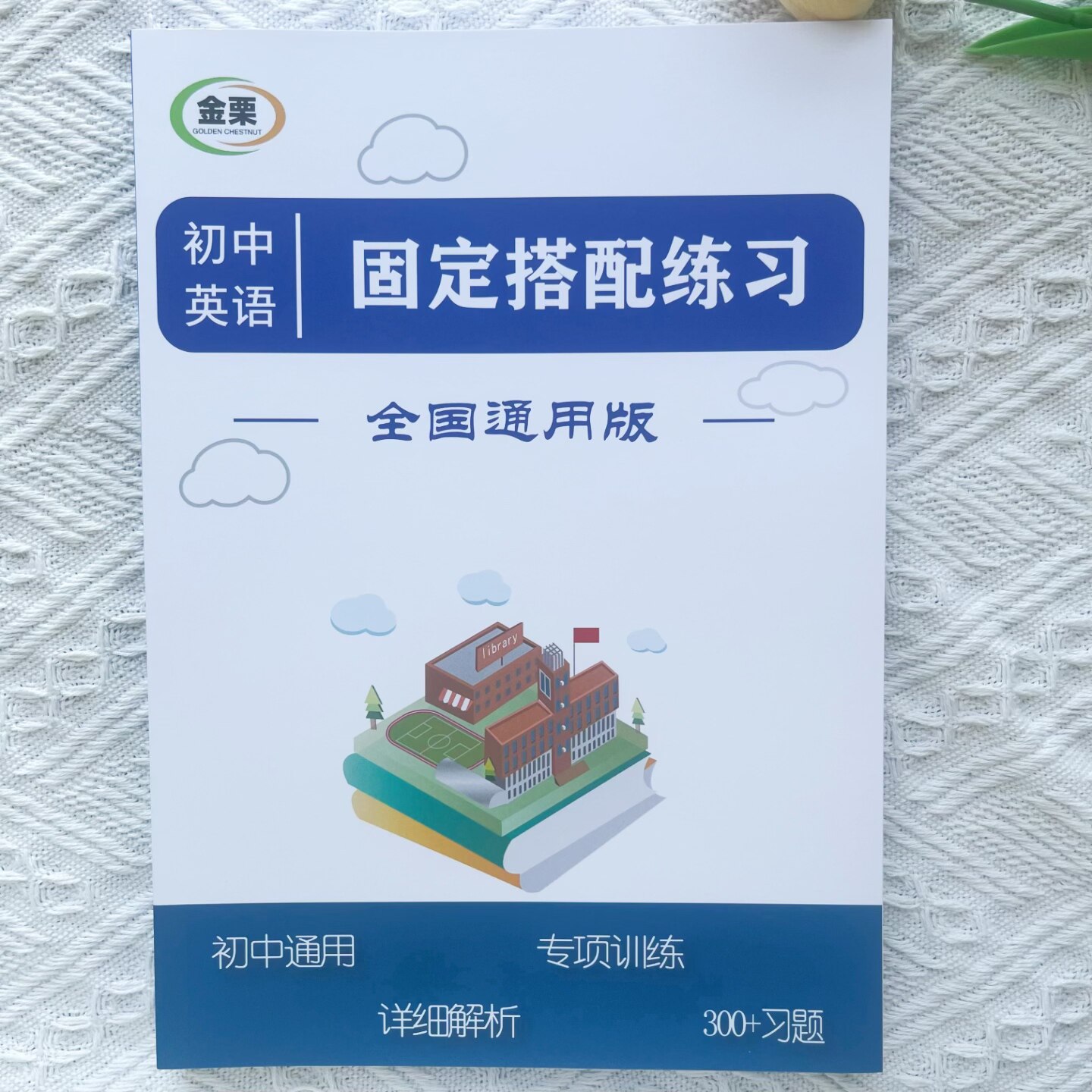 初中英语固定搭配专项练习册含详细解析300题初中中考通用版