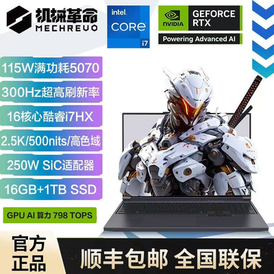 MECHREVO/机械革命 极光X 翼龙耀世15Pro满血5060游戏笔记本电脑