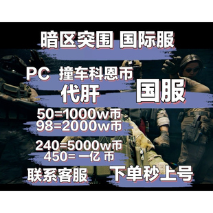 暗区突围pc国服/国际服撞车科恩币 追缴包赔 纯绿代撞 可上线跟车