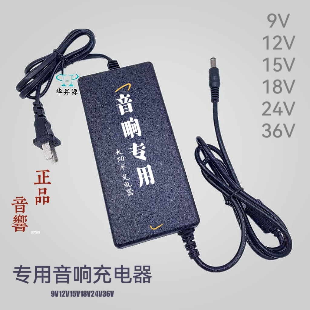 音响专用充电器9V12V15V18V24V36V蓝牙拉杆音箱电源线移动视频机