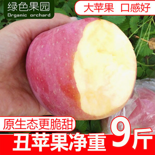 新鲜红富士丑苹果净重9斤高山平果水果山西运城脆甜非冰糖心