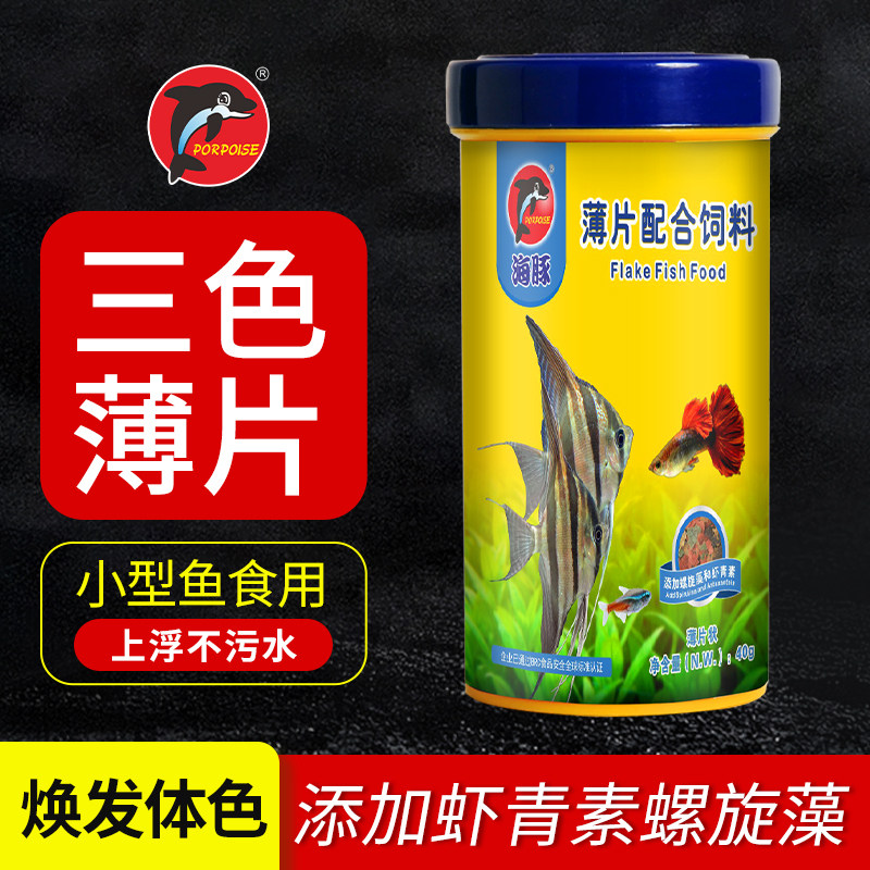 三色增艳薄片开口粮小型热带鱼