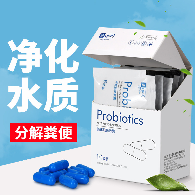 意牌yee硝化细菌胶囊干粉消化鱼缸用活菌水族养鱼用品质净化浓缩