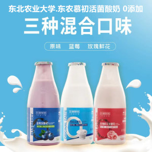 【东北农业大学 . 农大慕初活菌酸奶205g*9瓶】0添加原味蓝莓玫瑰