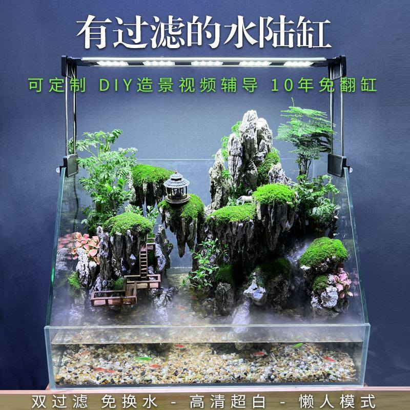 水陆缸造景套餐材料超白玻璃鱼缸生态雨林缸装饰植物景观草缸定制