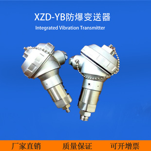 XZD 振動傳感器 防爆變送器 一體化振動變送 YB隔爆振動變送器