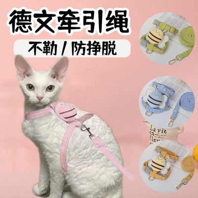 德文牵引绳卷毛猫外出专用防挣脱工字无毛猫溜绳子斯芬克斯小猫咪