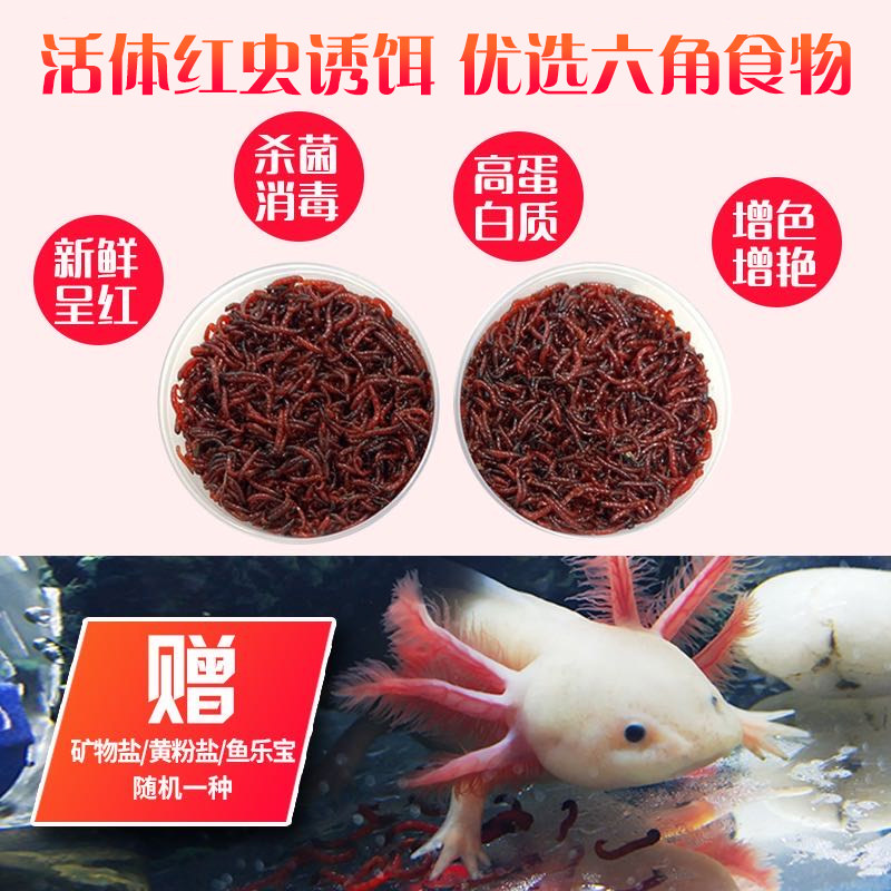乌龟六角恐龙鱼金鱼锦鲤孔雀热带鱼红虫饲料丰富蛋白质增加高营养