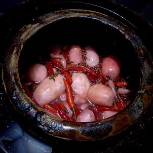 恩施农家传统土坛酸萝卜酸辣泡菜老鸭汤用腌萝卜母水发酵500克/袋