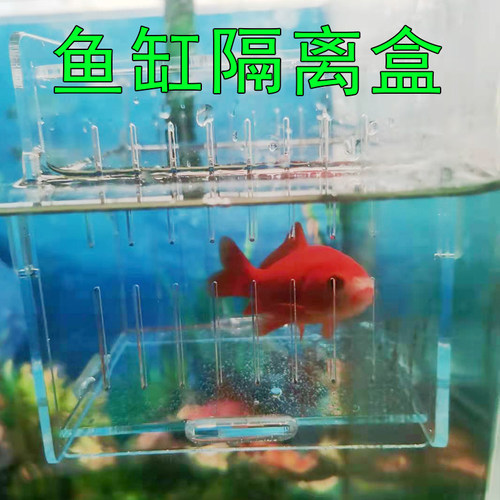 亚克力孵化盒孔雀鱼繁殖盒