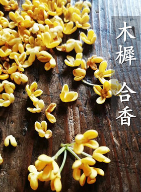 木樨香 桂花香 熏香粉 秋天的味道天然古法合香 室内家用净化空气