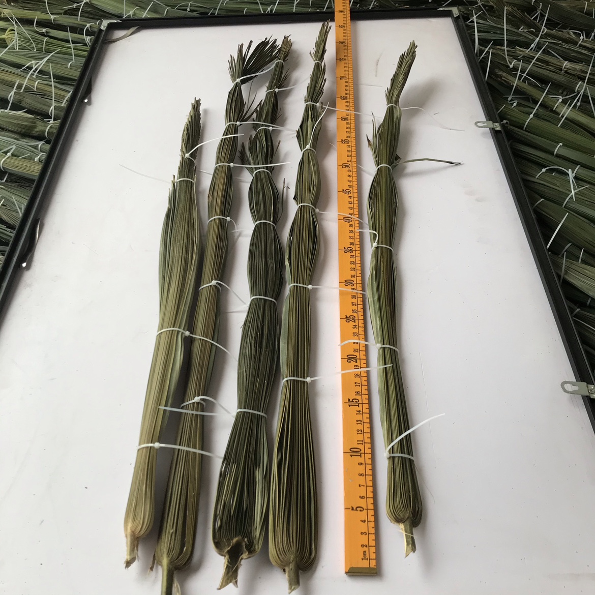 风干阴干棕榈叶编织课手工原材料