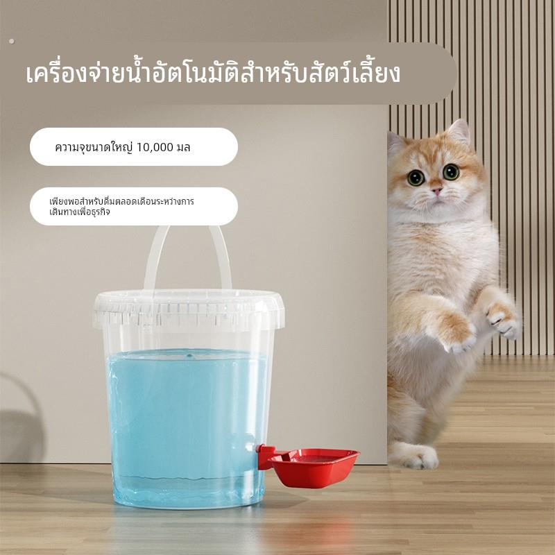 猫咪饮水机喂鸡饮水器喝水鸡鸭自动水壶自制饮水桶宠物喂水器神器