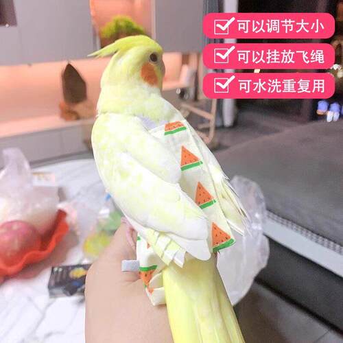 鹦鹉纸尿裤尿不湿鸟用虎皮遛鸟神器玄风拉屎兜便携式可调节不沾粪