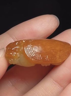 龙龟满皮黄沁新疆和田玉满红皮籽料龙龟挂件小巧精致9.6克