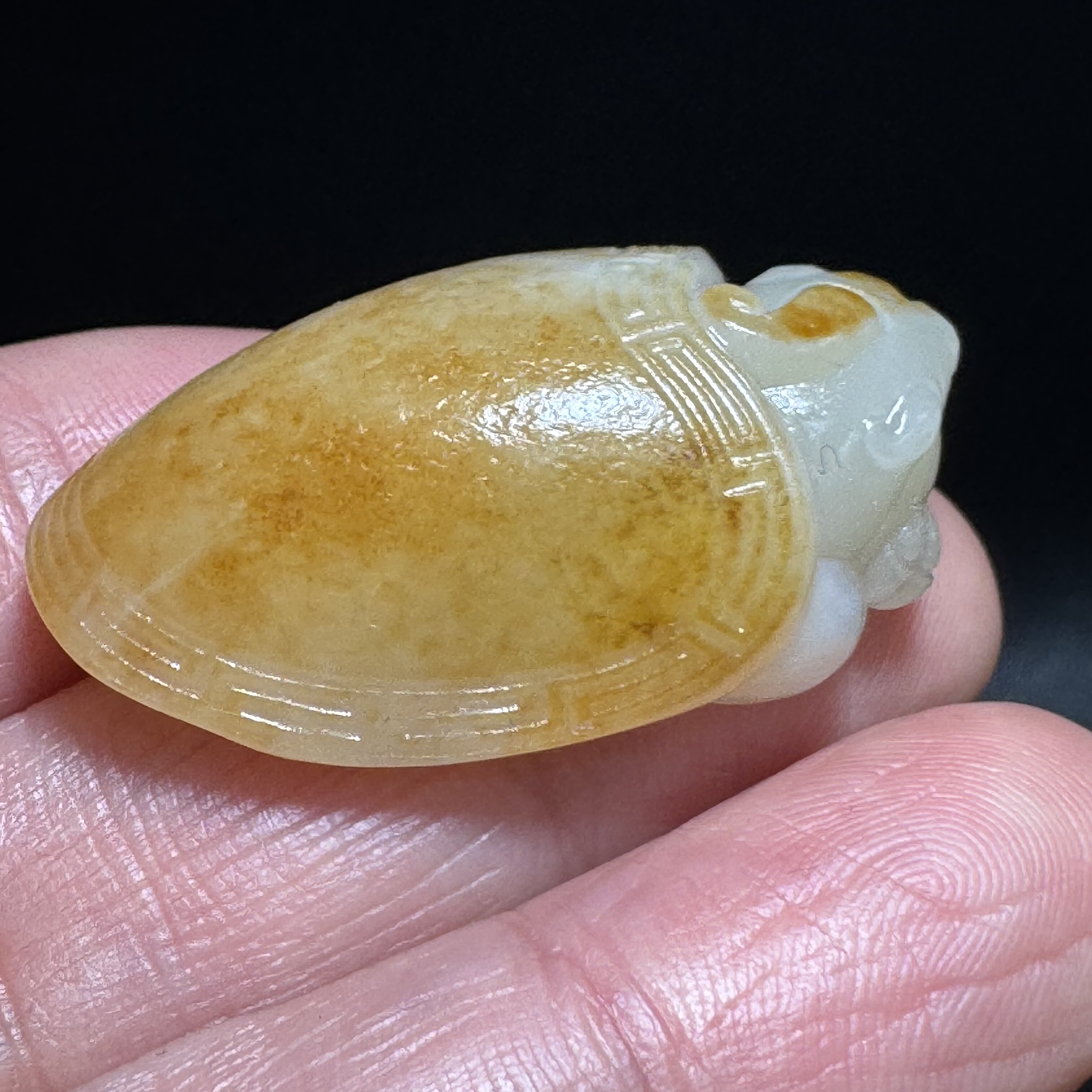 满皮新疆和田玉金皮龙龟挂件荣归故里油性十足新疆和田玉籽料吊坠