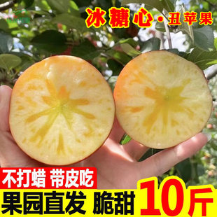 云南丽江丑苹果宁蒗冰糖心新鲜苹果现摘现发应季水果大果带箱10斤