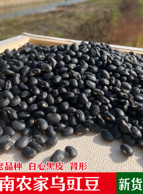 湖南农家自产老品种天然黑豆干货乌豇豆肾形白心饭豆粗粮煮粥眉豆