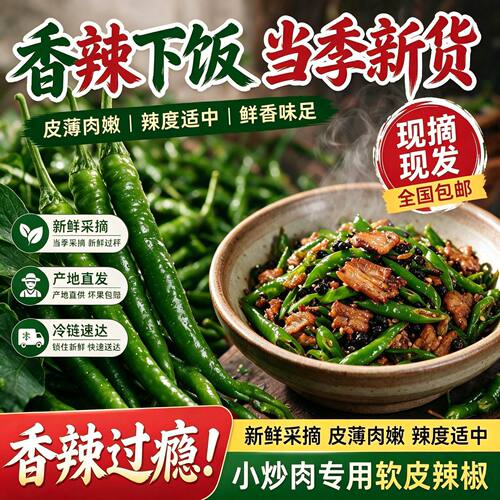 湖南新鲜青辣椒中辣现摘薄皮香辣土辣椒尖椒小炒肉辣椒