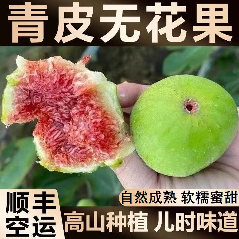 山东威海青皮无花果鲜果新鲜3斤当季现摘现发顺丰空运包邮特产