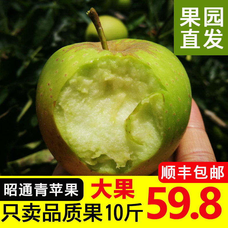 【顺丰包邮】昭通青苹果金帅新鲜采摘黄元帅酸甜应季水果10斤