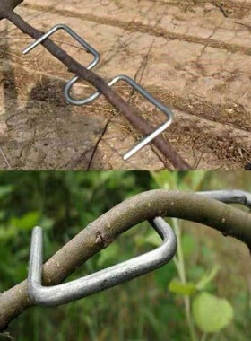 果树拉枝器定型器拿弯器梨树别枝拉直压弯开角苹果樱桃树农用神器