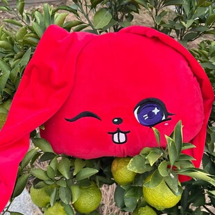 IDLE 宋雨琦合集同款solo2快闪gigi同款玩偶抱枕红兔子挂件周边