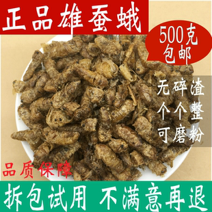正品雄蚕蛾纯野生 男性500克包邮泡养生酒可磨雄蚕蛾粉