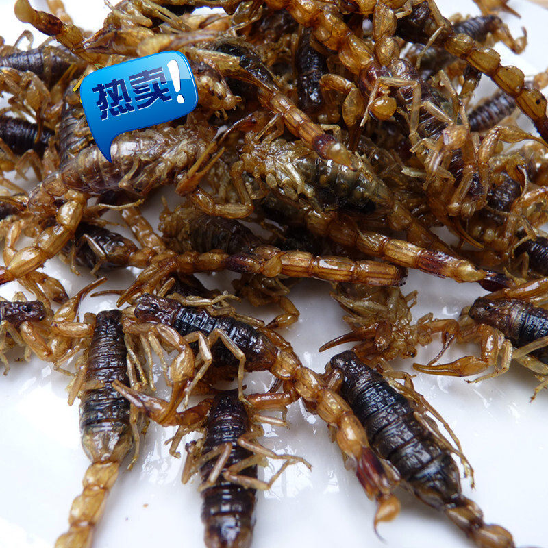 全蝎中药材清水全虫手选干品100克包邮全蝎干蜈蚣水蛭地龙土鳖虫