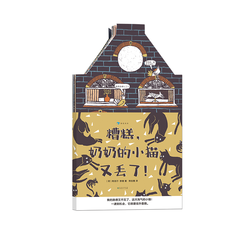 荷兰金画笔弗洛尔李德作品 猫咪主题异形绘本 2-6岁儿童绘本