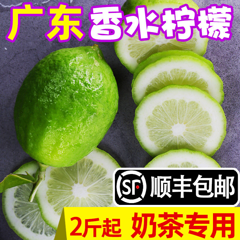 广东香水柠檬奶茶店专用新鲜无籽青柠檬泡水当季水果批发顺丰包邮|msdalam kategori daging perikanan/Buah-buahan segar dan sayur-sayuran/dimasak, buah-buahan segar, Lemon - dari Buy2taobao.com untuk memberikan perkhidmatan ejen Taobao profesional membeli