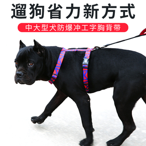 DODOPET宠物胸背 工字型牵引胸背带可调节大中小型狗狗防爆冲胸背