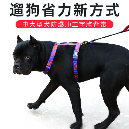 DODOPET狗牵引绳狗狗防爆冲胸背