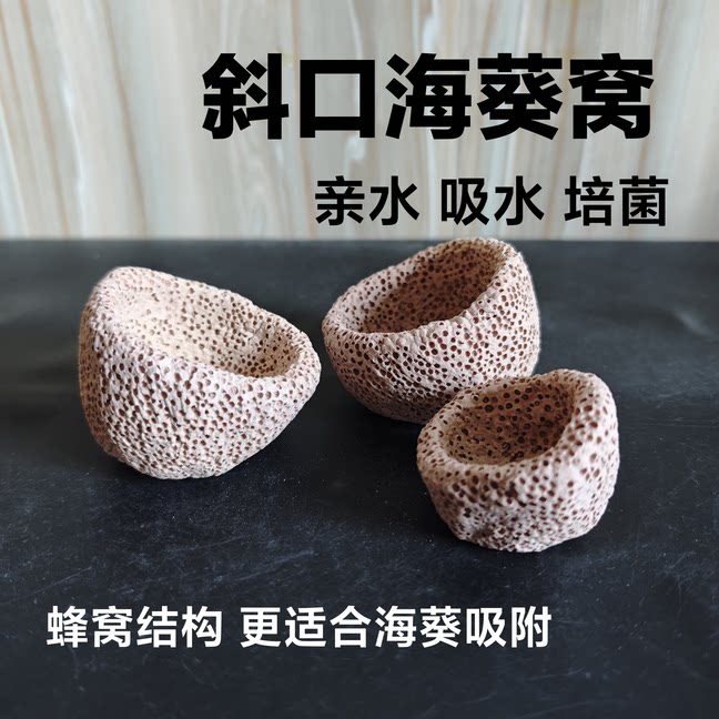 海葵窝 海葵屋 葵巢奶嘴地毯 固定防跑屋 蜂窝透水手工造景培菌石图片