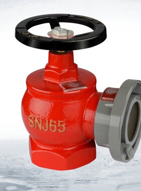 百安室内消火栓消防栓SNZJ65 SNW65 SNZW65 SNZ65 SNJ65