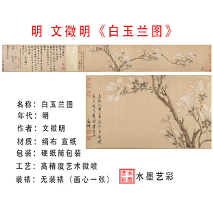 明文徵明白玉兰图高清艺术微喷绢布宣纸画心行书书法古画文人挂画
