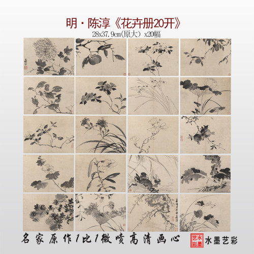 陈淳写生花卉册20开临摹画稿底稿