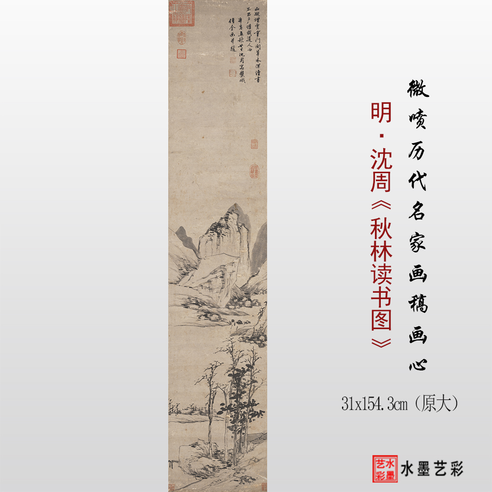 沈周秋林读书图高清原大临摹画稿