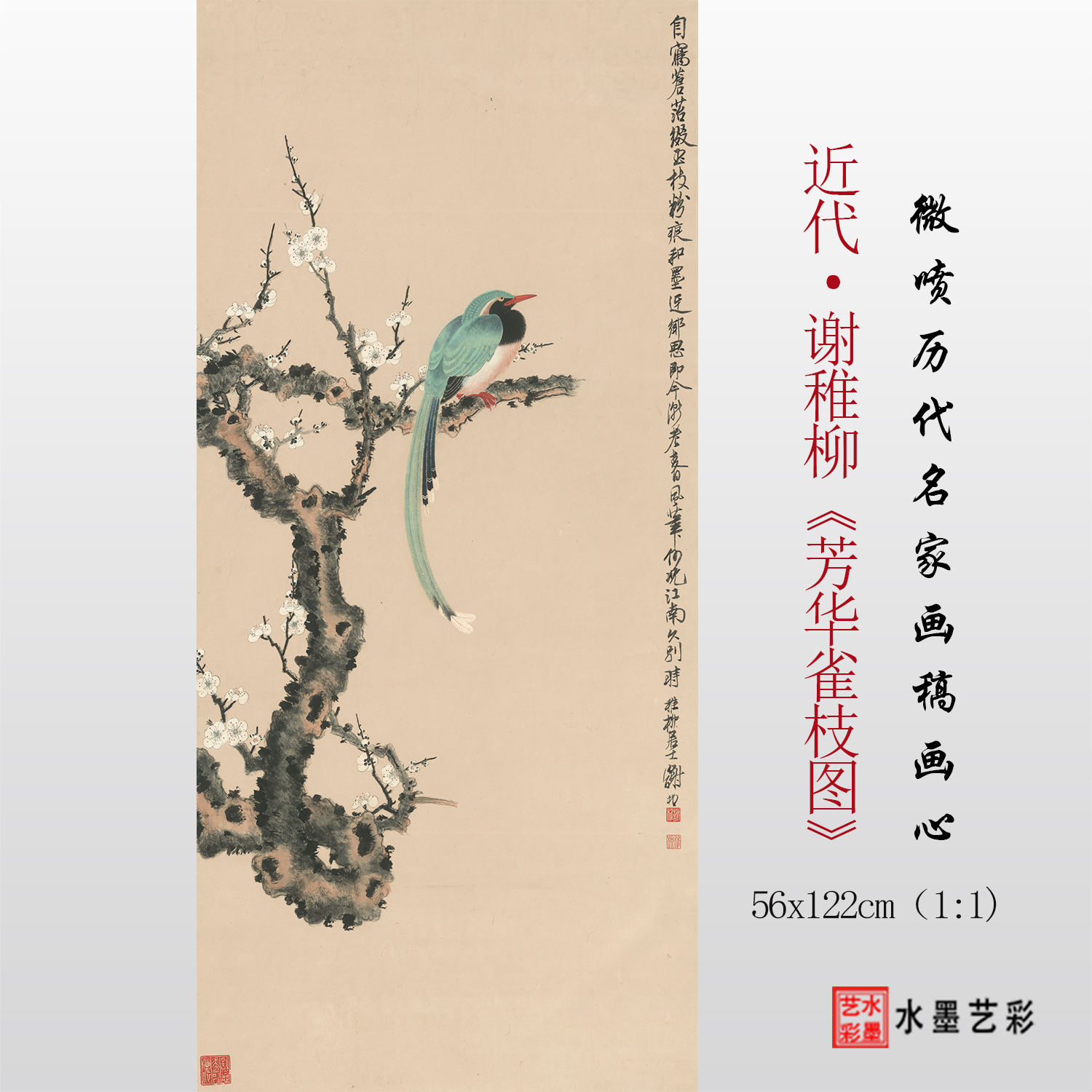 谢稚柳芳华雀枝图临摹画稿画心