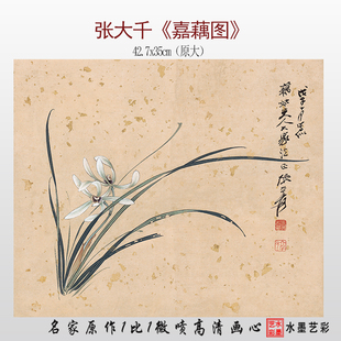 张大千兰花图高清微喷复制品画心临摹画稿工笔兰花花卉斗方画心