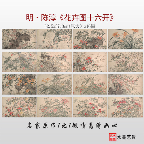 陈淳花卉十六开册高清临摹画稿
