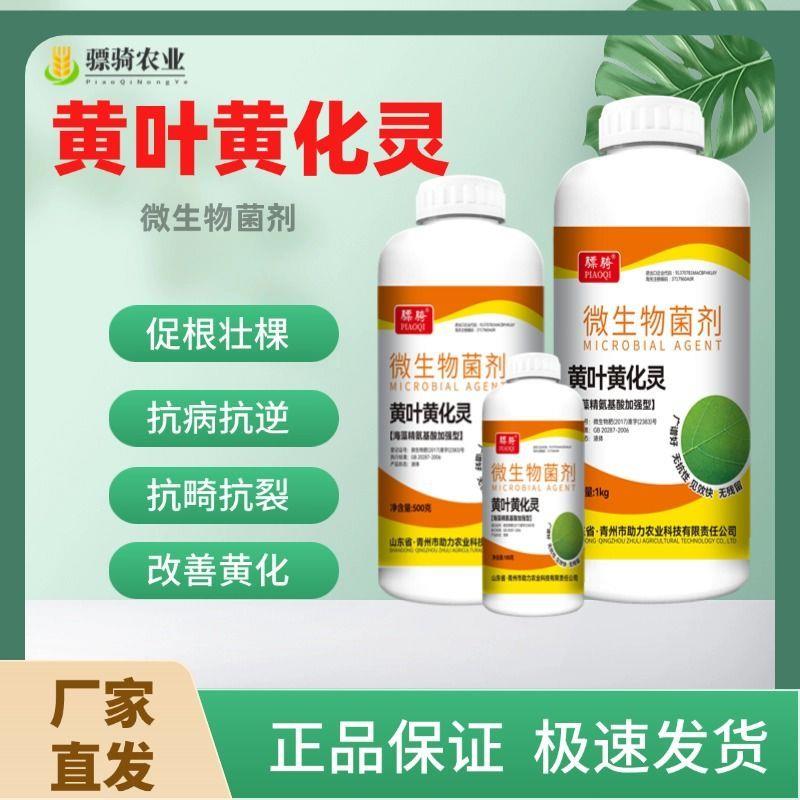 黄叶黄化灵柑橘果树水稻玉米小麦蔬菜花卉枯黄病绿果树修厂家