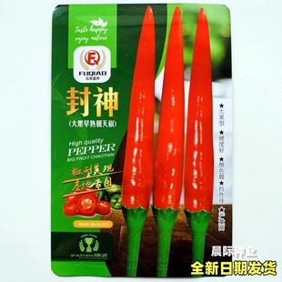 封神大果朝天椒种籽抗病高产大果早熟泰国引进基地专用辣椒种子孑