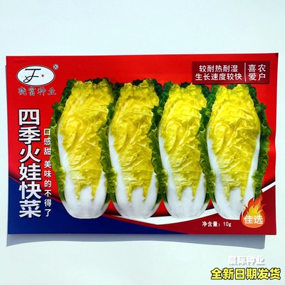 四季火娃快菜种子小青菜无毛白菜种籽南北方春夏秋季播种蔬菜种孑