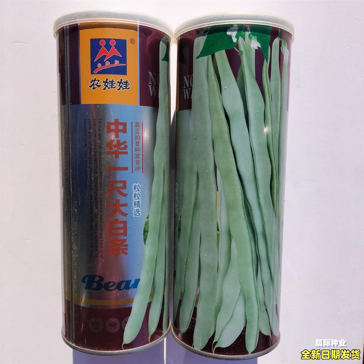 中华一尺大白条豇豆种子早熟白籽家庭园艺种子