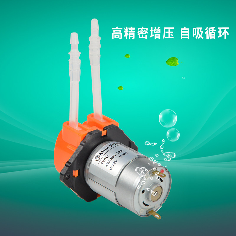 抽水泵自动小型微型水泵小直自吸泵蠕动泵12v静音迷你循环24v泵流