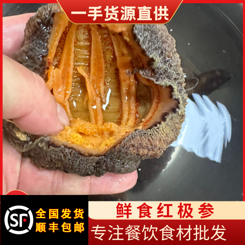 红极参厚肉大只鲜食加拿大俄红参