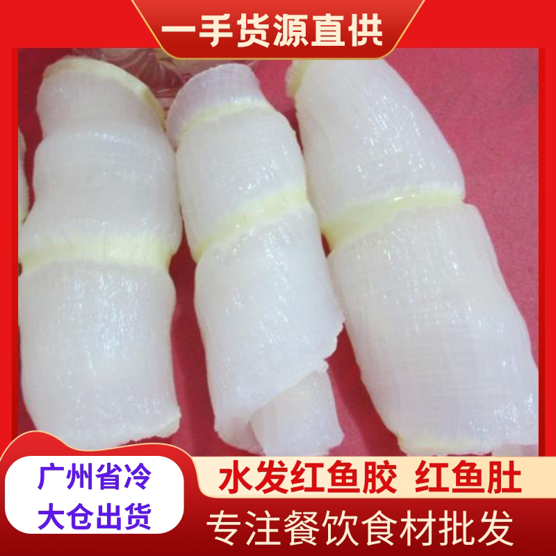 2026年鲜发滋补高品质红鱼肚花胶/鱼胶