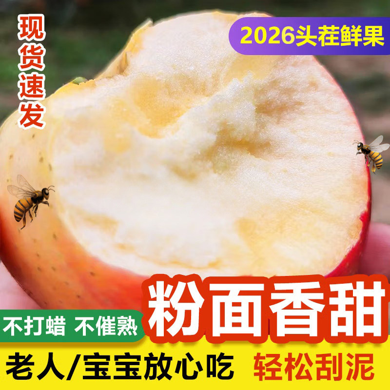 山东粉面新鲜水果现摘现发