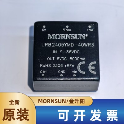 金升阳电源模块URB2405YMD-40WR3